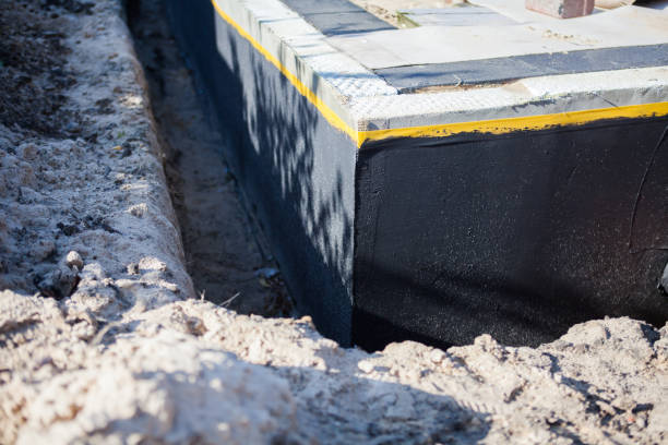 Professional Wet Basement Repair technician working in Cygnet, OH