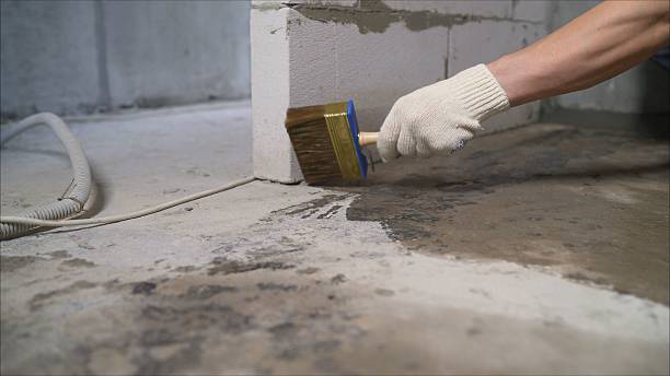 24/7 Emergency Wet Basement Repair experts in Cygnet, OH